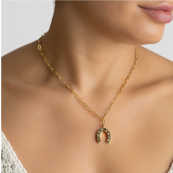 + ADORNIA + Horseshoe Pendant Paper Clip Chain Necklace - Picture 1 of 6